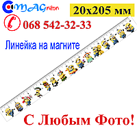 Линейка магнитная 20х205