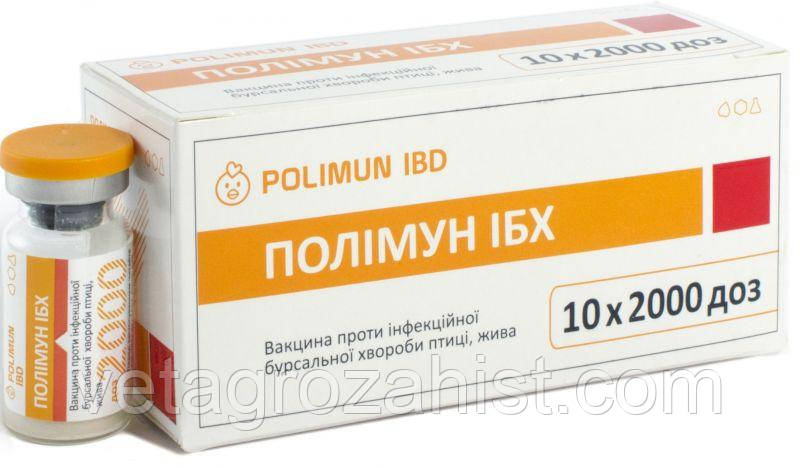 Вакцина Гамборо Полимун ИБХ 50 доз Биотестлаб - фото 1 - id-p610544102