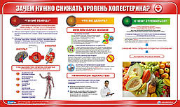 Стенд. Зачем нужно снижать уровень холестирина? (Рус.) 0,6х1,0. Пластик