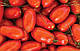 Насіння томата Улісе F1/ Ulisse F1 2500 насіння Syngenta, фото 2