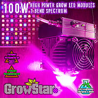 Фитолампа GrowStar 100W. Grow LED Lamp 100W 7 Band Spectrum.