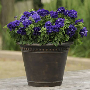 Насіння Петунія махрова великоквіткова Каскад F1 Синя 200 насінин Pan American, фото 2