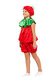 Карнавальний костюм Помідора, фото 2