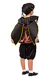 Карнавальний костюм Жука., фото 2