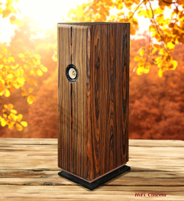 Speaker Maestro Simplicity 1-Gen HiFi Cinema 1