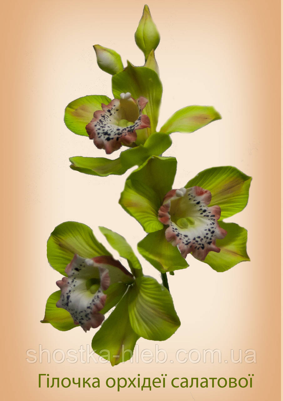 Торт Флористика "Гілочка орхідеї салатової" - фото 2 - id-p610893007