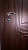 Вхідні двері для вулиці "Портала" (Преміум RAL) ― модель Пасаж, фото 4