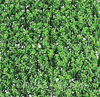 Декоративне зелене покриття "Самшит" 50х50 см