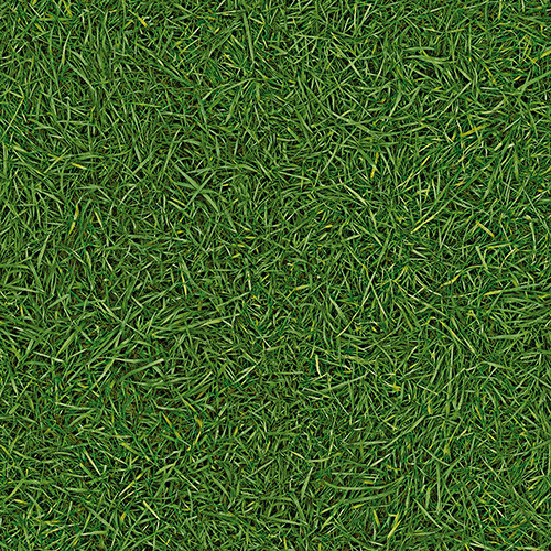 Дитячий лінолеум Leoline Smart SURFACES Grass 25