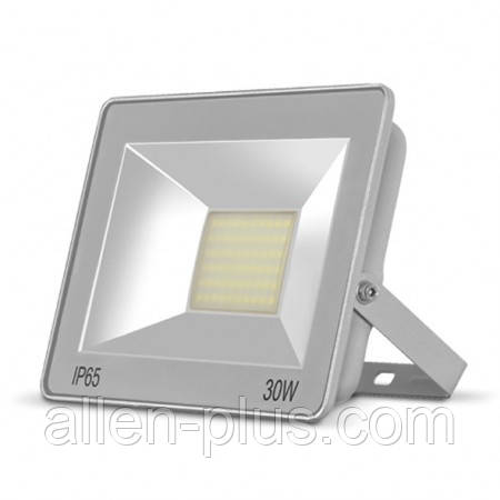 LED прожектор TITANUM 30W 6000K 220V, фото 1