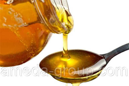 Куплю мед оптом Кропивницкий, фото 2