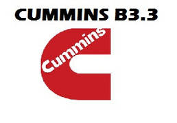 CUMINNS B3.3