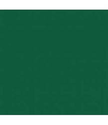 Термоплівка матова 404S Зелений