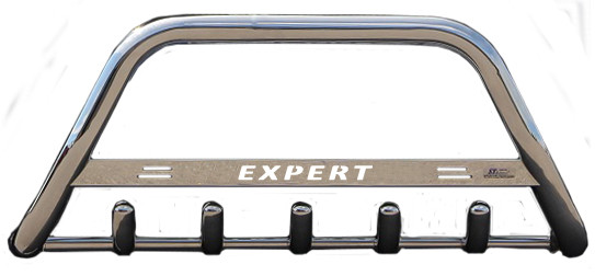 Кенгурятник WT на Peugeot Expert (1995-2007) Пежо Експерт PRS, фото 1