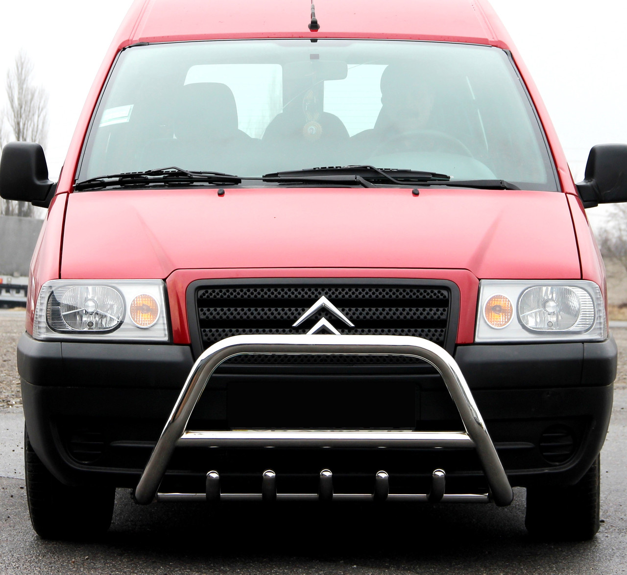 Кенгурятник на Peugeot Expert (1995-2007) Пежо Експерт PRS, фото 1