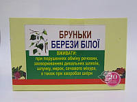 Березовые почки 20 шт по 1.5 г- при заболеваниях мочевого пузыря и почек