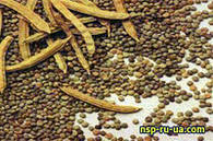 Гуарова камедь