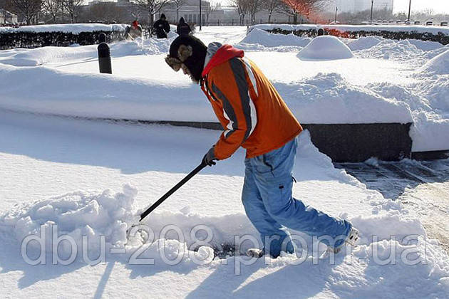 Уборка снега, вывоз снега, уборка территории от снега цена приемлемая Киев - фото 2 - id-p613010828
