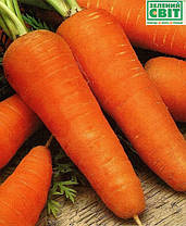 Насіння моркви Шантане (Clause) 0,5 кг - середньопізня сортова (110-120 днів), тип Шантане, фото 3