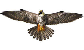 Візуальні відлякувачі птахів