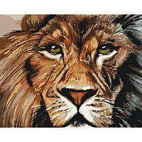 Живопис за номерами Хижий погляд (KHO4024) Ідейка 40 х 50 см (без коробки)