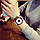 Жіночий годинник білий циферблат, наручний жиночий годинник, кварцовий жіночий наручний годинник, фото 4