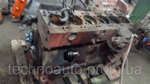 Петрович першим простягає руку для вітання