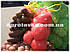 Сітка овочева 5кг з осередком 2мм червона (28х39) з зав'язкою (100шт) (6916), фото 9