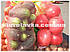 Сітка овочева 5кг з осередком 2мм червона (28х39) з зав'язкою (100шт) (6916), фото 10