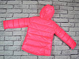 Зимова курточка для дівчинки, фото 2