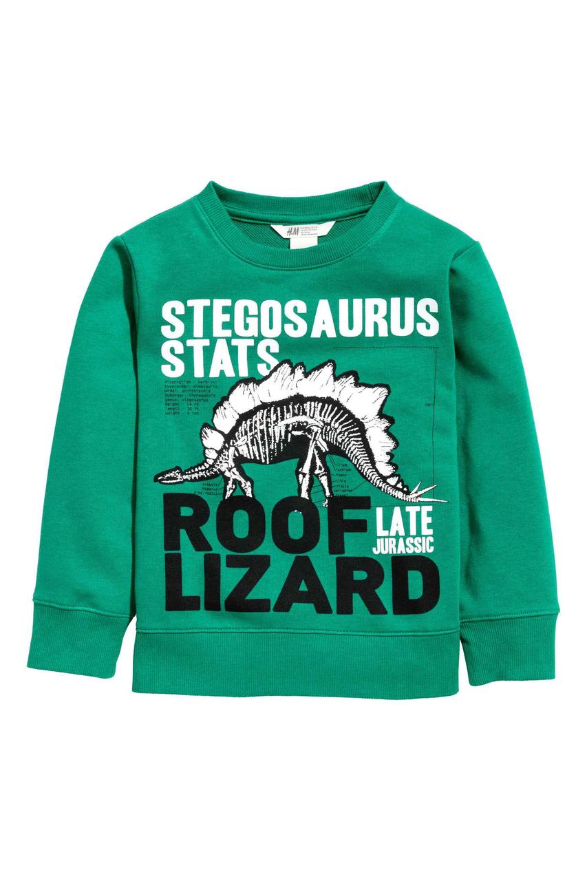 Дитячий світшот для хлопчика 1,5-2 роки, фото 1