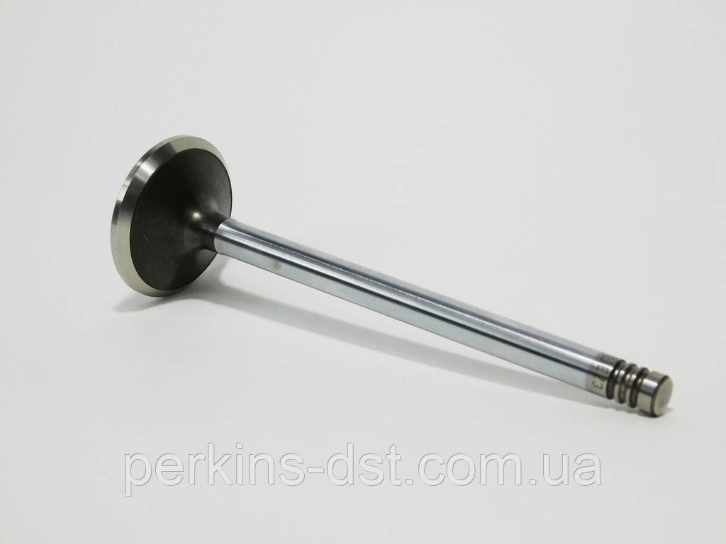 Впускний клапан для двигуна (Дойц) Deutz BF6M 1013, фото 1