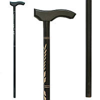 Дерев'яна тростина 02. Темна