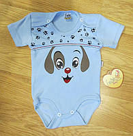 Боді короткий рукав для новонароджених (зростання 62, 68 см) 68