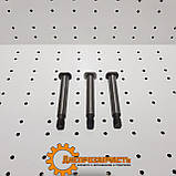 Палець маховика ЮМЗ Д-65, фото 2