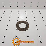 Сальник войлочний цапфи ЮМЗ, фото 3