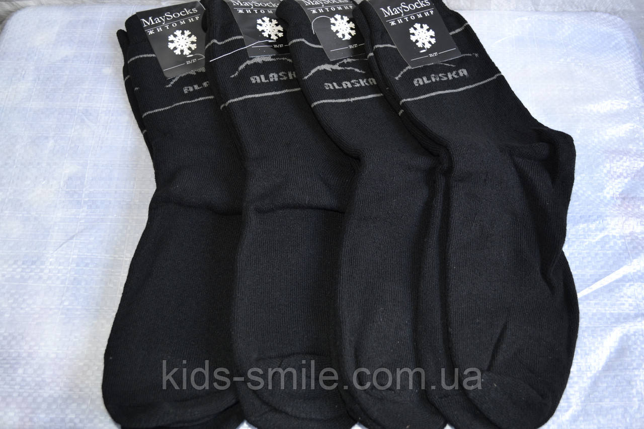 Шкарпетки чоловічі теплі (Житосвіт)