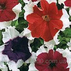 Насіння Петунія грандифлора пікоті Хулахапу Hulahoop F1 Суміш 1000 насіння Sakata, фото 1