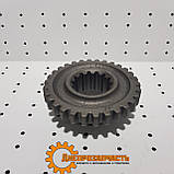 Шестерня 3 передачі КПП ЮМЗ (пр.во Білорусь), фото 7