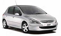 Накладки на пороги Peugeot 307 (2001+)