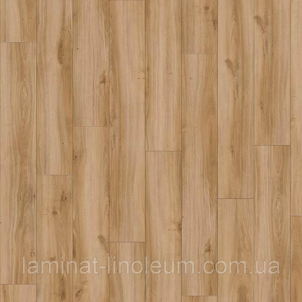 Кварц-вінілова, плитка, IVC Холод, Moduleo SELECT, CLICK, CLASSIC OAK, 24837, товщина 4,5 мм, замковий