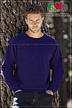 Чоловічий класичний реглан Classic Raglan Sweat 62-216-0, фото 5