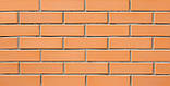 Цегла "СБК" Ромни М-200 жовта (Ж1/ Персик), фото 2