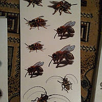 Флеш тату. Тимчасове татуювання 19*9 см