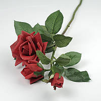 Садова троянда — штучні квіти нового покоління