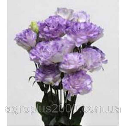 Насіння Еустома АВС F1 Синій туман Misty Blue 50 насіння Pan-american seeds, фото 1