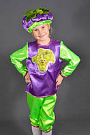 Дитячий карнавальний костюм ВИНОГРАД на 3,4,5,6,7,8 років маскарадний костюм ВИНОГРАДУ на свято осені. 318