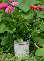 Вази, букети 2