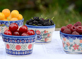 Ягідна полянка 5