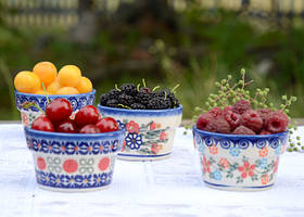 Ягідна полянка 3